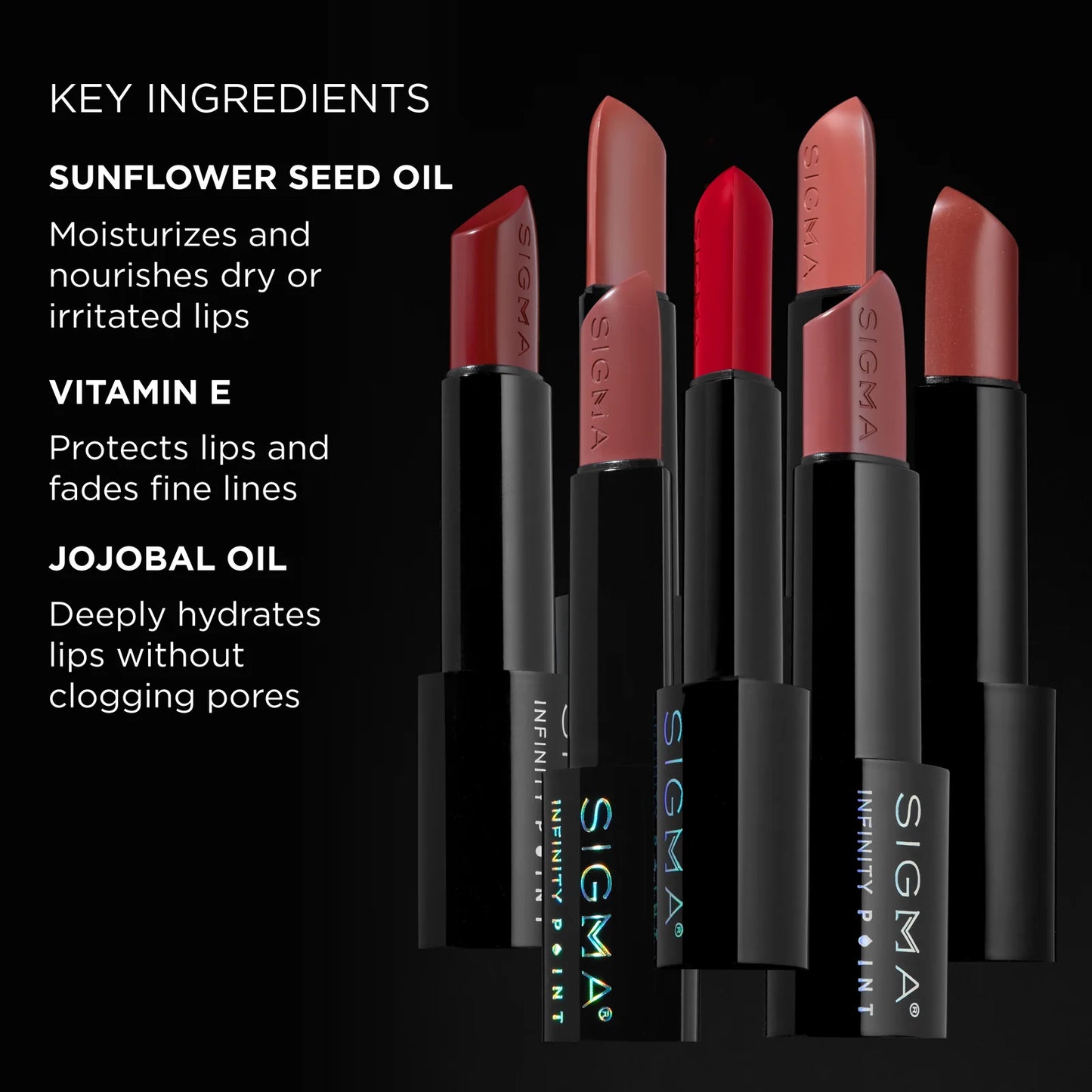 Infinity Point Lipstick (various shades available.)